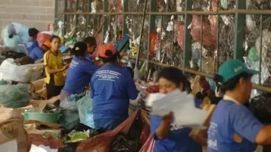 Catadores de recicláveis