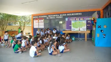 ESCOLA MUNICIPAL PROFESSORA MARIA GUILHERMINA DE SOUZA FREIRE
