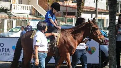 Com o apoio do cavalo como instrumento terapêutico, pacientes desenvolvem habilidades