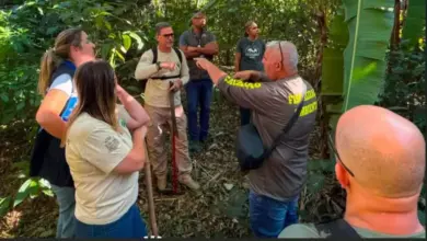 Equipes da Prefeitura de Mangaratiba realizam as primeiras intervenções em campo
