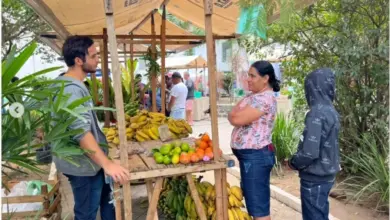 Bananas fresquinhas e uma variedade de frutas cultivadas por produtores locais
