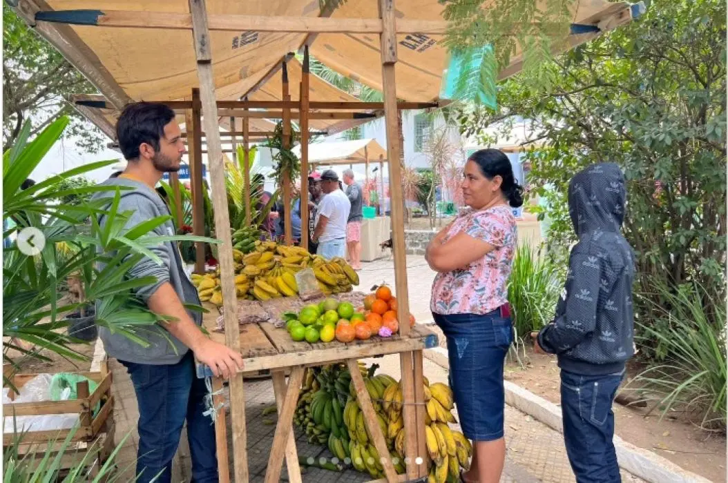 Bananas fresquinhas e uma variedade de frutas cultivadas por produtores locais
