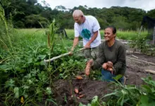Produtores rurais