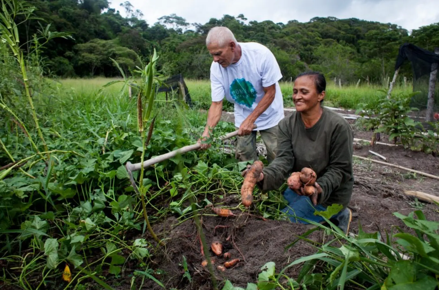 Produtores rurais