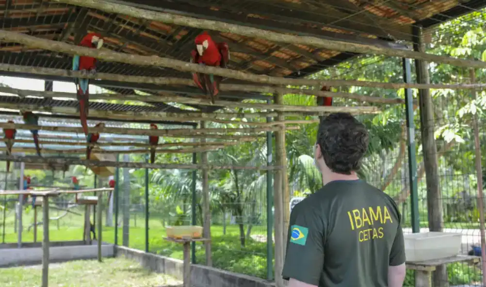 Centro de Triagem de Animais Silvestres Cetas de Seropédica é alvo de ação do MPF, que aponta falta de pessoal, insumos e risco de colapso na unidade.