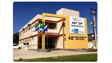 Agentes da 48ª DP (Seropédica) apreenderam pés de cannabis, estufas e equipamentos utilizados em um laboratório clandestino de produção de maconha de alto padrão durante operação realizada no município.