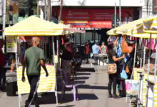 Ambulantes de Campo Grande recebem licenças e novas barracas padronizadas por meio do programa Ambulante em Harmonia.