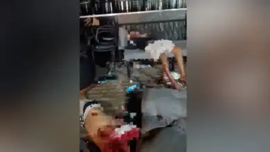 Os corpos dos homens ficaram expostos no deque da casa