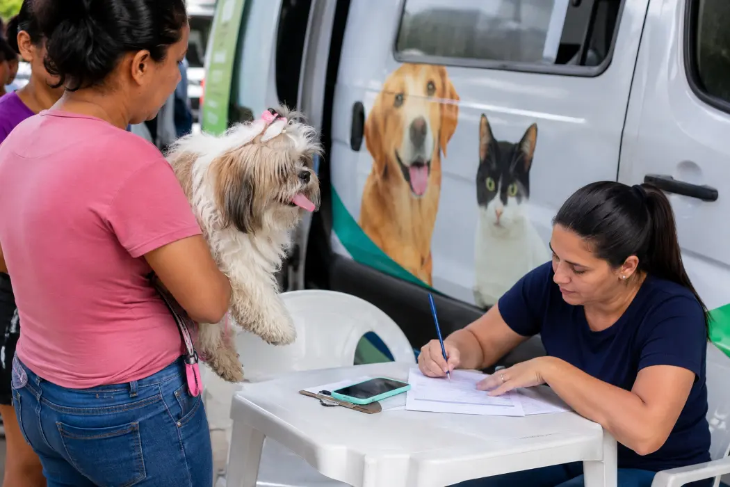 Tutores realizam o agendamento para castração de cães e gatos