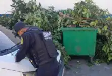 Operação Férias