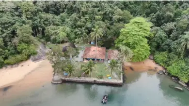 Vista aérea da Fazenda Marinha, no Terminal Ilha Guaíba (TIG), mostrando uma construção com telhado cerâmico cercada por área gramada, palmeiras e densa vegetação de Mata Atlântica. O espaço fica em uma pequena península às margens de águas calmas, com faixas de areia nas laterais e uma embarcação atracada em frente ao píer