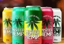 Mister Hemp