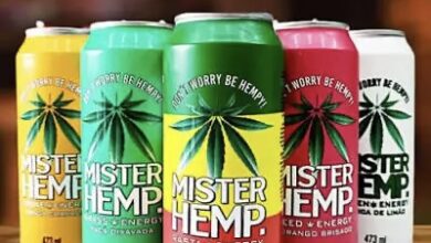 Mister Hemp