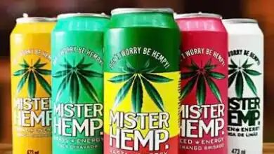 Mister Hemp
