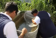 Dois homens olhando uma caixa d'água