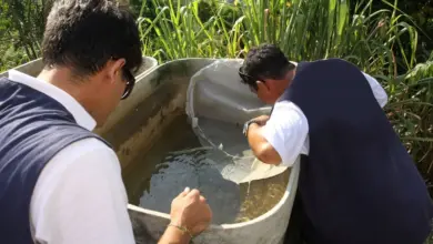 Dois homens olhando uma caixa d'água
