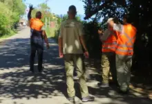 Equipe da Defesa Civil de Mangaratiba realiza vistoria técnica em árvores próximas à rede elétrica