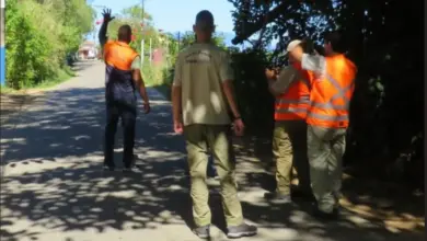 Equipe da Defesa Civil de Mangaratiba realiza vistoria técnica em árvores próximas à rede elétrica