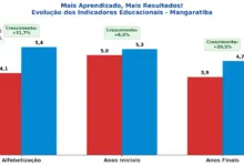 Gráfico com os dados da evolução