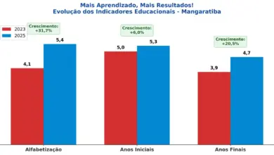 Gráfico com os dados da evolução