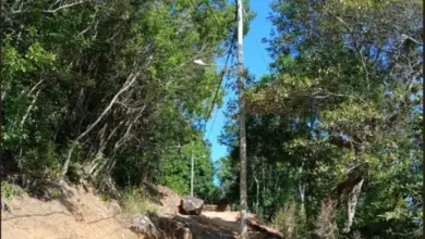 Rede elétrica na Ilha da Marambaia