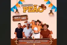 Arte da programação da festa