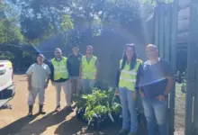 Colaboradores da RioSP participaram da entrega de 100 mudas