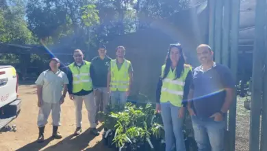 Colaboradores da RioSP participaram da entrega de 100 mudas