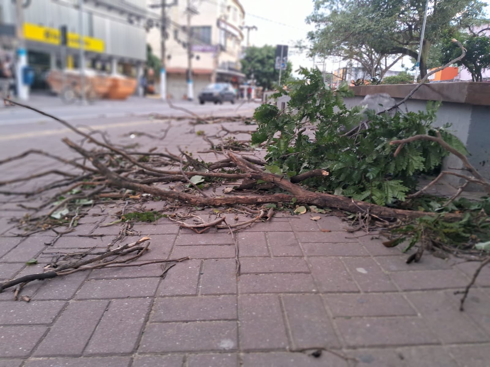 Alerta da prefeitura de Itaguaí, divulgado após o da Defesa Civil, prevê ventos moderados a fortes e orienta a população a adotar medidas de prevenção.