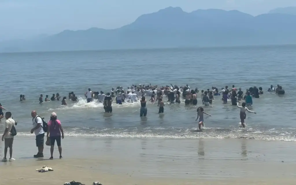 Participantes da ação ambiental entram no mar após a mobilização de limpeza