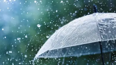 Pessoa com guarda-chuva