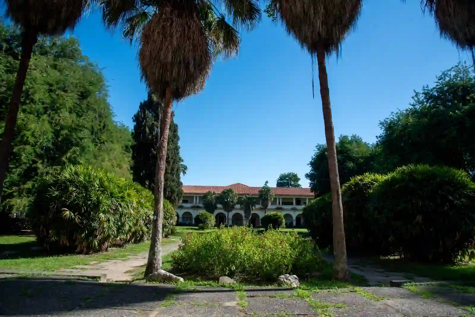 Prédio histórico da Universidade Rural com varanda em arcos, cercado por jardim, palmeiras e vegetação.