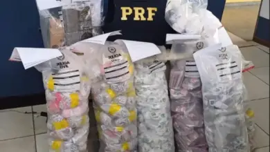 Drogas apreendidas pela PRF
