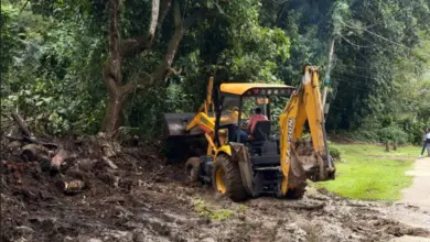 Máquina trabalha na limpeza e no nivelamento do terreno