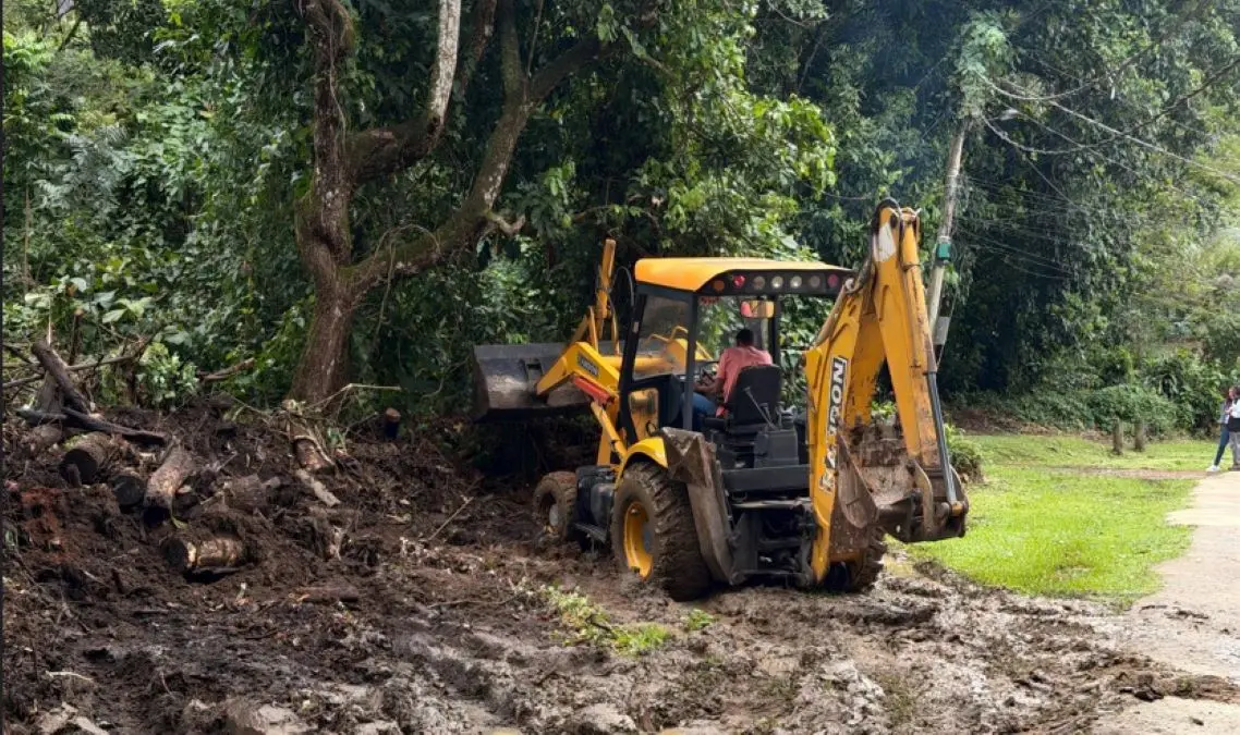 Máquina trabalha na limpeza e no nivelamento do terreno