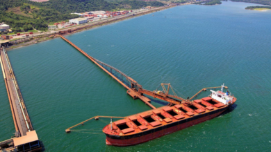 Vista do Porto de Itaguaí, onde está prevista a implantação do terminal de minério de ferro da Cedro Participações (REPRODUÇÃO/ COGESN).
