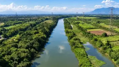 Vista aérea do Rio Guandu, cercado por áreas de vegetação, campos e linhas de transmissão de energia, com montanhas ao fundo.